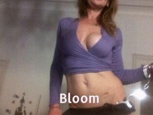 Bloom