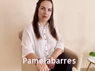 Pamelabarres
