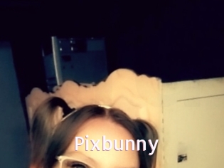Pixbunny