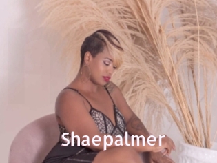 Shaepalmer
