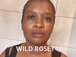 WILD_ROSEY40